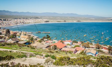 La bahía de Tongoy cuenta con condiciones oceanográficas únicas que permiten el cultivo de ostiones de exportación, un motor económico que posiciona al balneario en el mercado internacional. La bahía de Tongoy cuenta con condiciones oceanográficas únicas que permiten el cultivo de ostiones de exportación, un motor económico que posiciona al balneario en el mercado internacional.