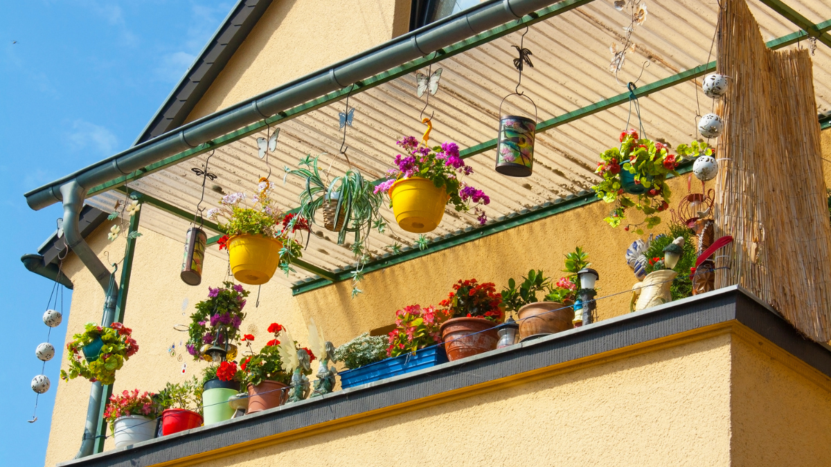 Estas cinco plantas son ideales para balcones donde no hay lugar para muchas macetas.