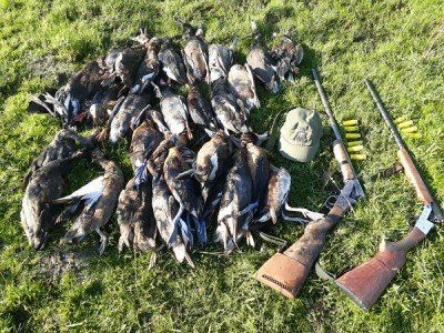 Decomisaron 160 patos en Arroyo Leyes