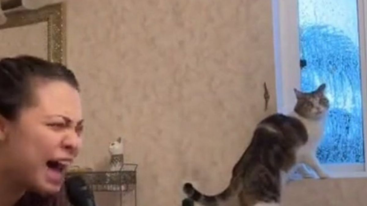 En la escena se le ve a Samantha frente al espejo con el lavamanos en primer plano. Justo a la derecha, mirando por la ventana, aparece su gatito, que parece estar concentrado mirando la lluvia detrás del vidrio.