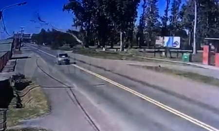 Ruta Nacional N° 11: captura del video del momento en que cae el árbol Ruta Nacional N° 11: captura del video del momento en que cae el árbol