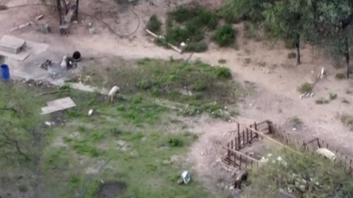 Según fuentes judiciales