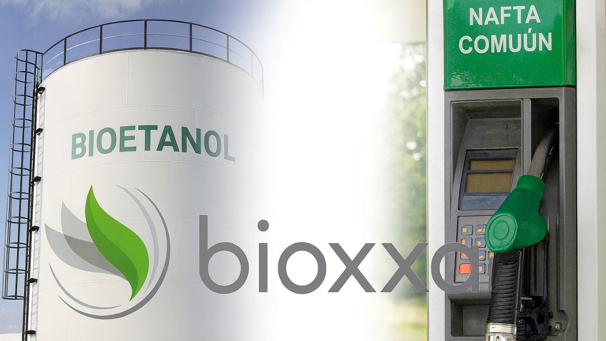 BIOXXAR se ocupará de la ingeniería global de la planta global. BIOXXAR se ocupará de la ingeniería global de la planta global.