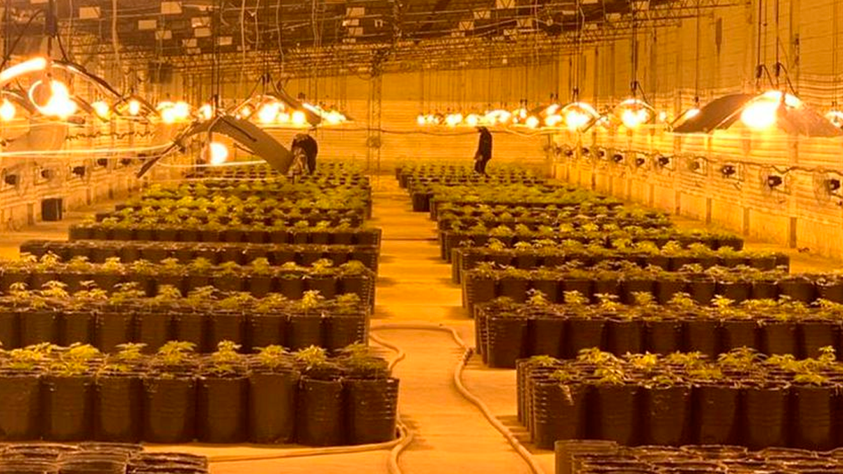 Los policías utilizaron un dron antes de concretar el operativo