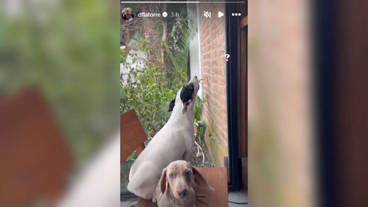 El actor compartió en sus redes sociales parte de su intimidad después de que se desatara el escándalo familiar. El actor compartió en sus redes sociales parte de su intimidad después de que se desatara el escándalo familiar.