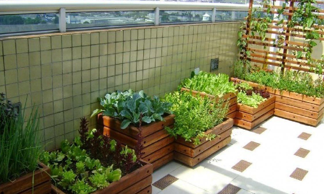 Claves para tener un huerta en casa