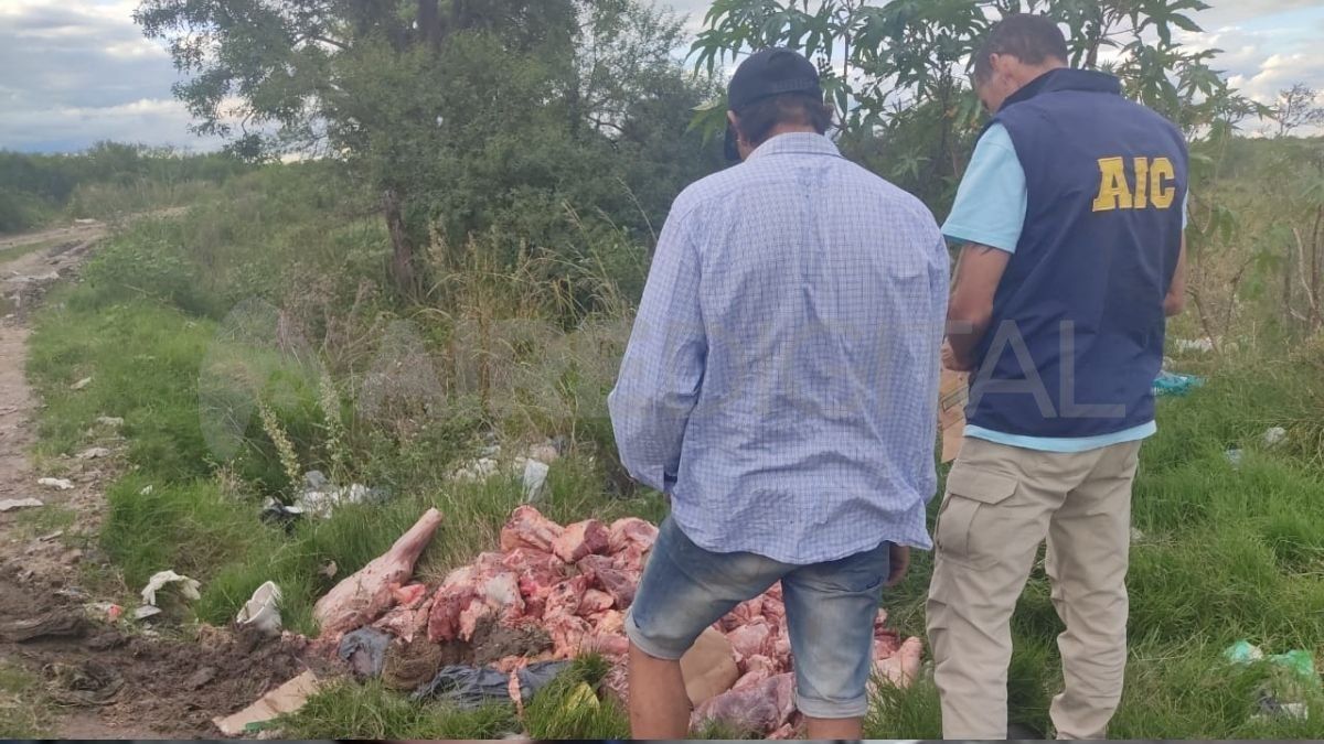 Desarticularon dos bandas delictivas en San Javier por abigeato y robos