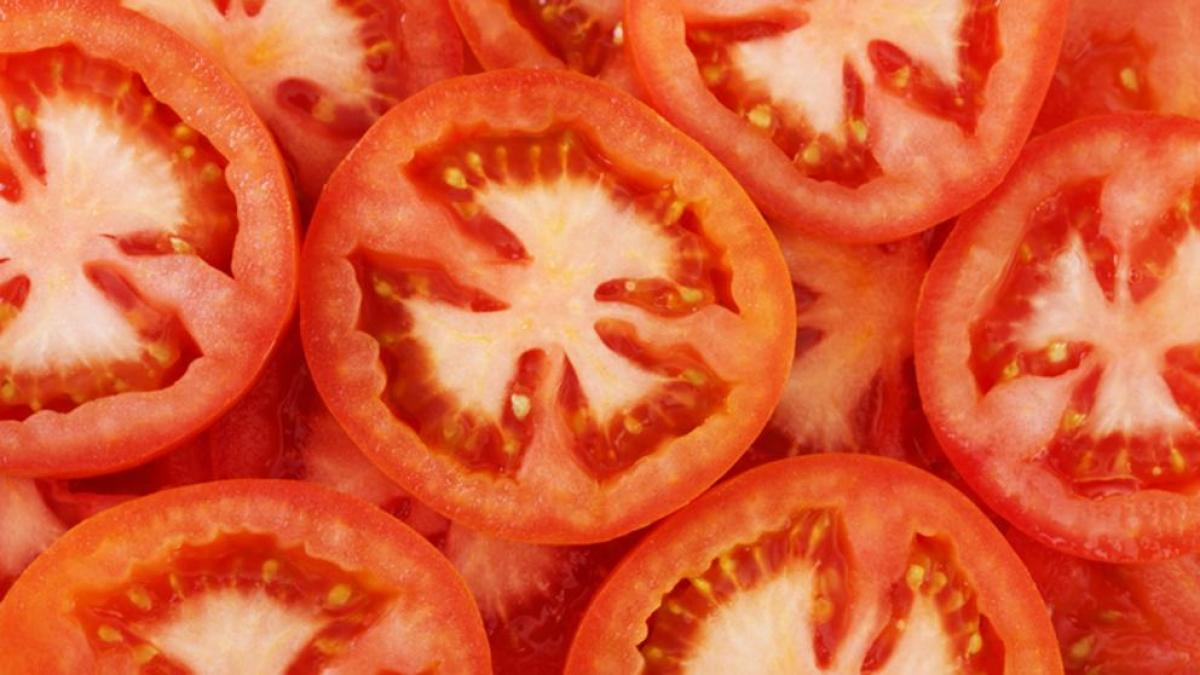 Rodajas de tomates