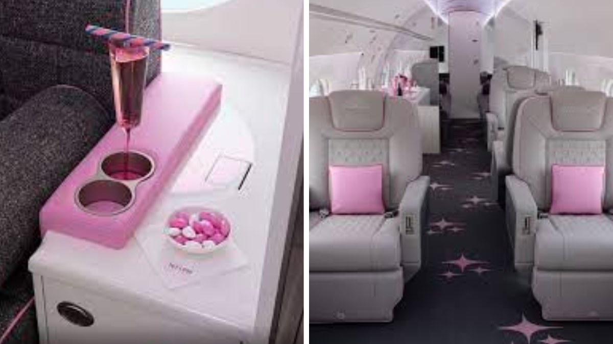 El jet privado de Paris Hilton por dentro. El jet privado de Paris Hilton por dentro.