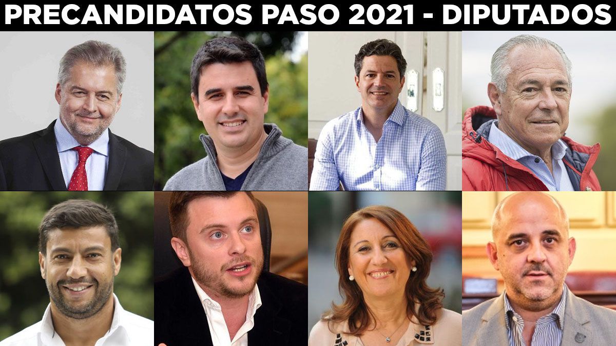 La lista de los precandidatos a diputados nacionales por Santa Fe.