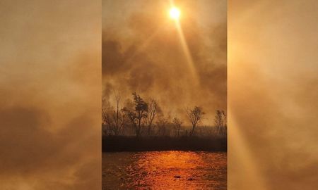 Este sábado por la tarde varias zonas de la provincia, como las ciudades de Santa Fe, Sauce Viejo y Rosario, quedaron bajo una lluvia de cenizas provenientes de nuevos focos de incendio. Este sábado por la tarde varias zonas de la provincia, como las ciudades de Santa Fe, Sauce Viejo y Rosario, quedaron bajo una lluvia de cenizas provenientes de nuevos focos de incendio.