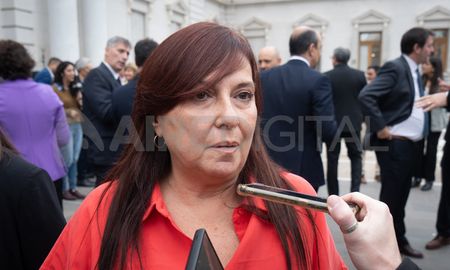 Celia Arena, diputada de la provincia de Santa Fe. Celia Arena, diputada de la provincia de Santa Fe.