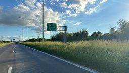 En los últimos días, crecieron los reclamos por el desmalezado en Circunvalación Oeste de Santa Fe.