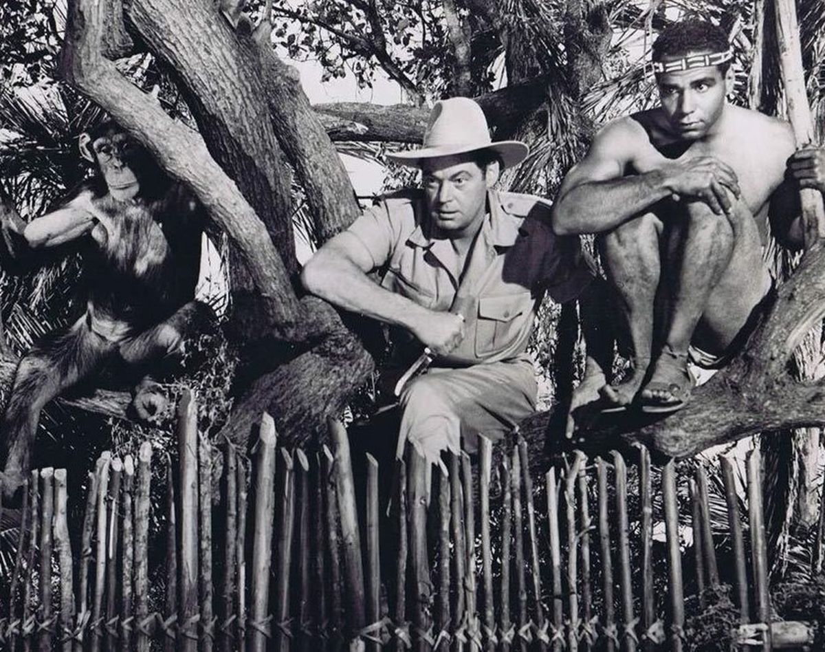Tan pronto como Weissmüler dejó de interpretar a Tarzán, un productor de Columbia Studios le ofreció protagonizar un nuevo personaje. Por ello, a partir de 1948, Johnny filmó 16 películas de Jungle Jim (Jim de la selva) durante ocho años, todas las cuales fueron económicamente exitosas e inmensamente populares. Tan pronto como Weissmüler dejó de interpretar a Tarzán, un productor de Columbia Studios le ofreció protagonizar un nuevo personaje. Por ello, a partir de 1948, Johnny filmó 16 películas de Jungle Jim (Jim de la selva) durante ocho años, todas las cuales fueron económicamente exitosas e inmensamente populares.
