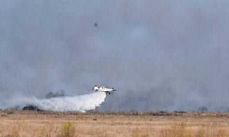Más de 300 personas están abocadas al operativo a lo largo del Delta del Paraná. Más de 300 personas están abocadas al operativo a lo largo del Delta del Paraná.