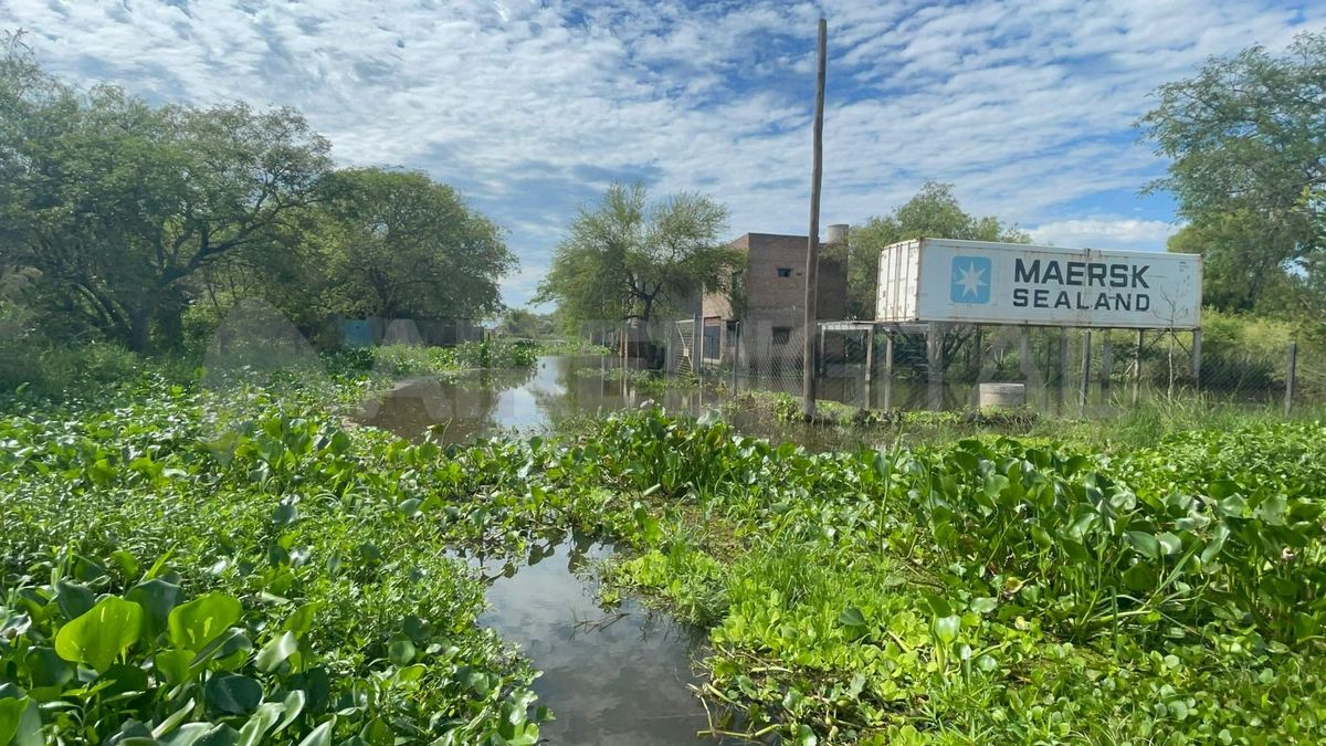 El agua ingresó de manera imprevista a muchas viviendas.