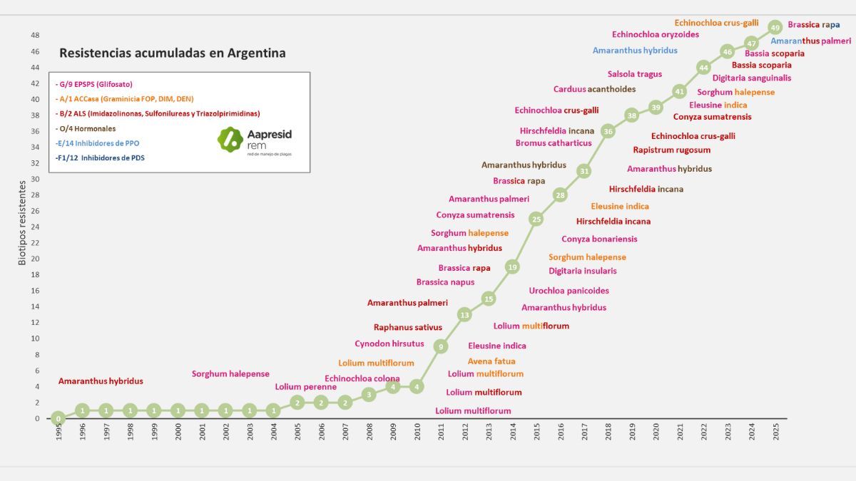 Biotipos de malezas resistentes registrados en Argentina. Fuente: REM, mayo 2025