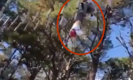 El tenso rescate de una nena de 12 años que quedó boca abajo en un juego de Mar del Plata: No me sueltes El tenso rescate de una nena de 12 años que quedó boca abajo en un juego de Mar del Plata: No me sueltes