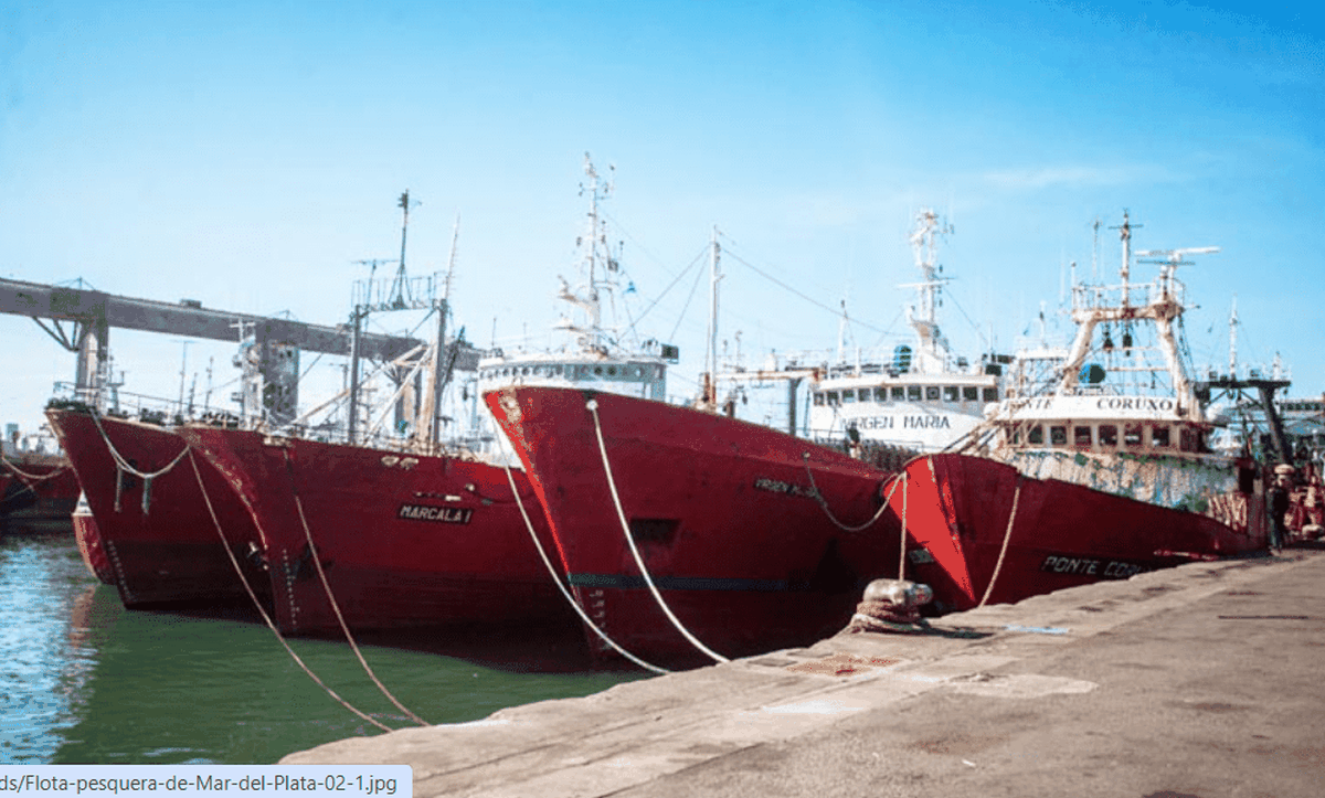 El bloque del Partido Justicialista en la Legislatura de Santa Fe presentó un proyecto de ley que busca restablecer la obligatoriedad del servicio de serenos de buques en los puertos de la provincia.