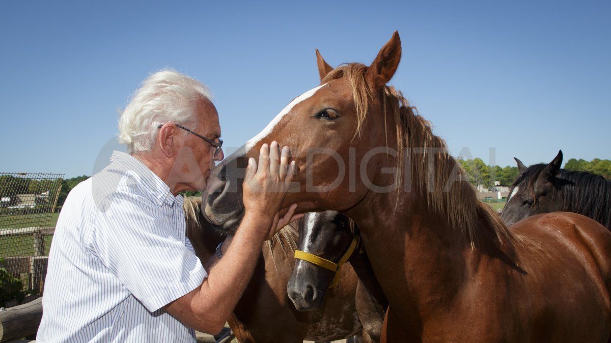El vínculo con los animales es uno de los ejes de la propuesta de