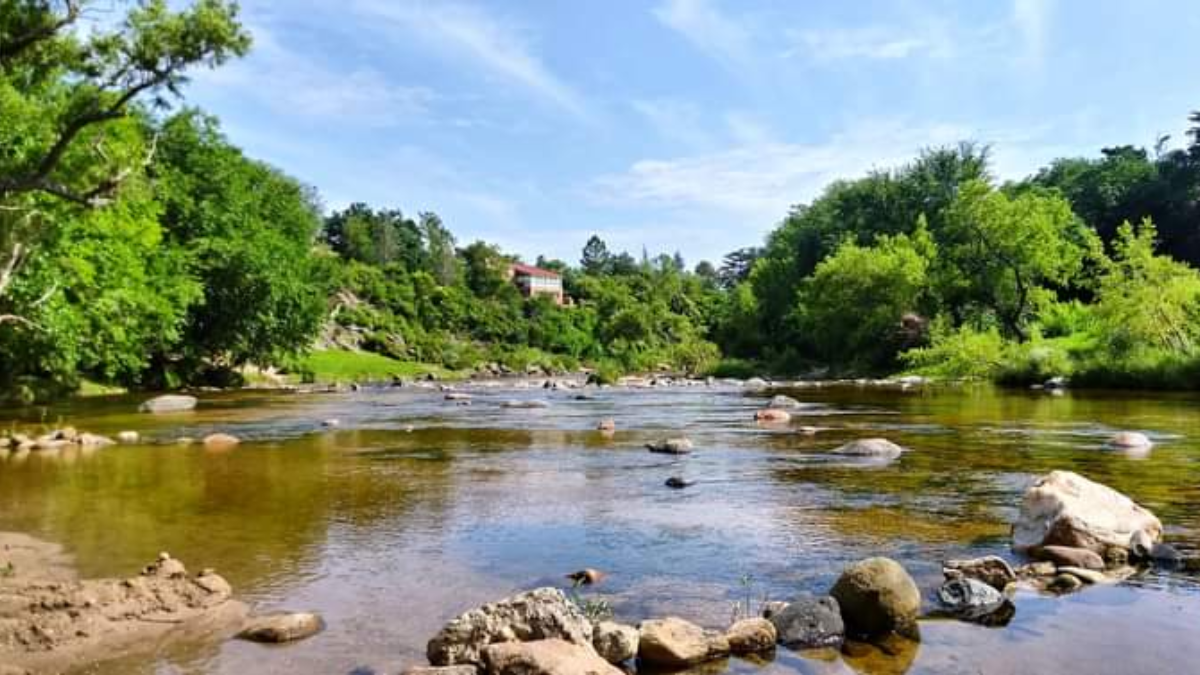 Tala Huasi un maravilloso destino rodeado de naturaleza. Tala Huasi un maravilloso destino rodeado de naturaleza.