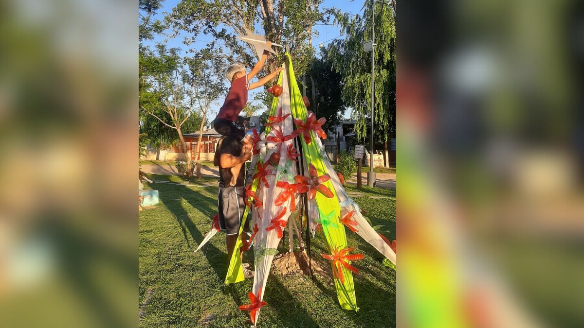 Arbol de Alto verde. Arbol de Alto verde.