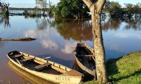 En la localidad de Santo Tomé hubo autoevacuaciones y comenzaron a tomar recaudos debido a que allí el río aún muestra pulso creciente y se acerca a los 12,50 metros. En la localidad de Santo Tomé hubo autoevacuaciones y comenzaron a tomar recaudos debido a que allí el río aún muestra pulso creciente y se acerca a los 12,50 metros.