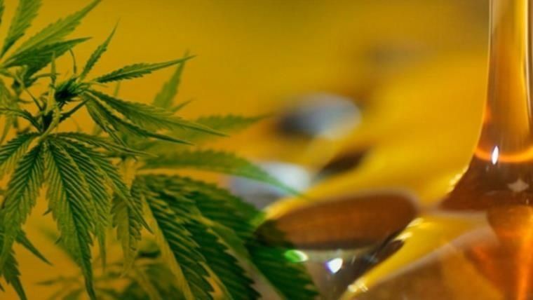 cannabisaceite.jpg_1572130063.jpg