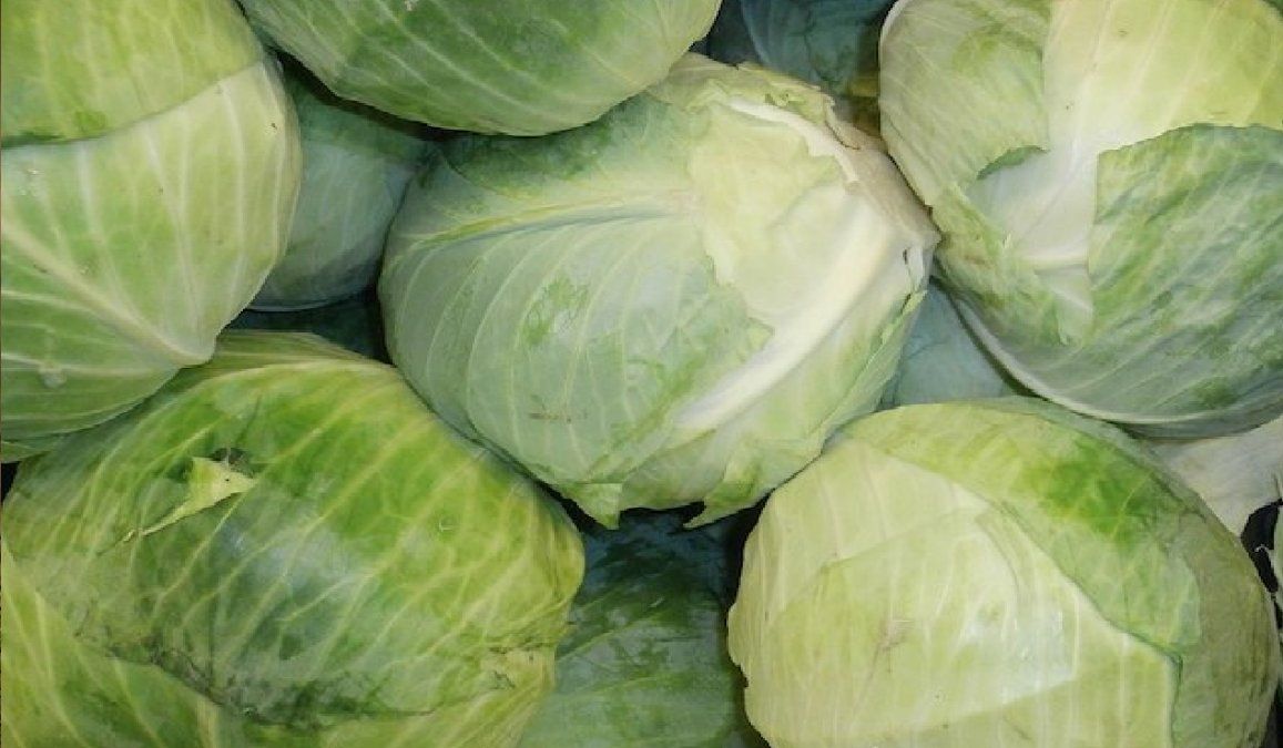 Tiene un alto contenido en vitaminas A, C, E y B y en minerales