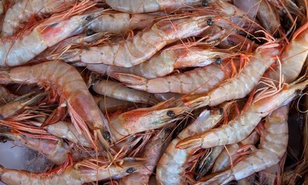 En 2020, el sector exportó langostino entero por US$ 379,7 millones a España, Italia, Japón y Rusia. En 2020, el sector exportó langostino entero por US$ 379,7 millones a España, Italia, Japón y Rusia.