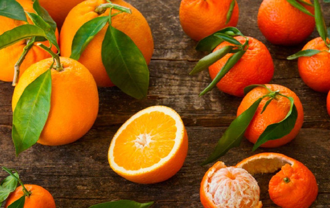 Diferentes usos de los cítricos en la cocina