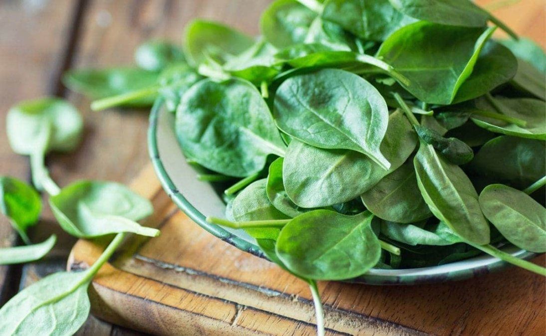 Espinacas, fuente de vitamina A, fibra y folatos