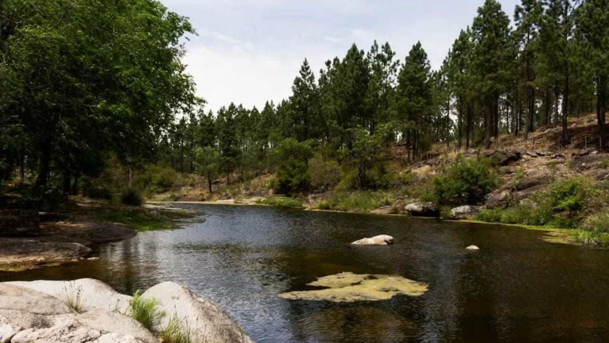 En Villa Flor Serrano hay zonas donde el agua rodean piedra que son perfectas para disfrutar. En Villa Flor Serrano hay zonas donde el agua rodean piedra que son perfectas para disfrutar. 