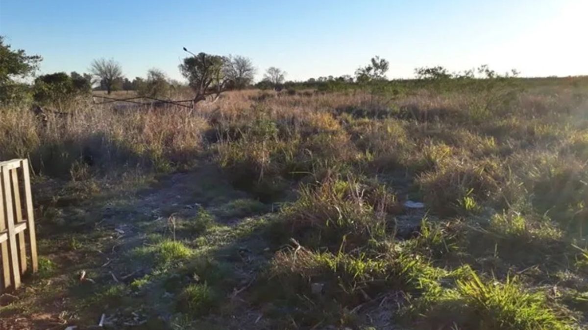 El campo en donde la policía encontró los restos de Diego Román. El campo en donde la policía encontró los restos de Diego Román.
