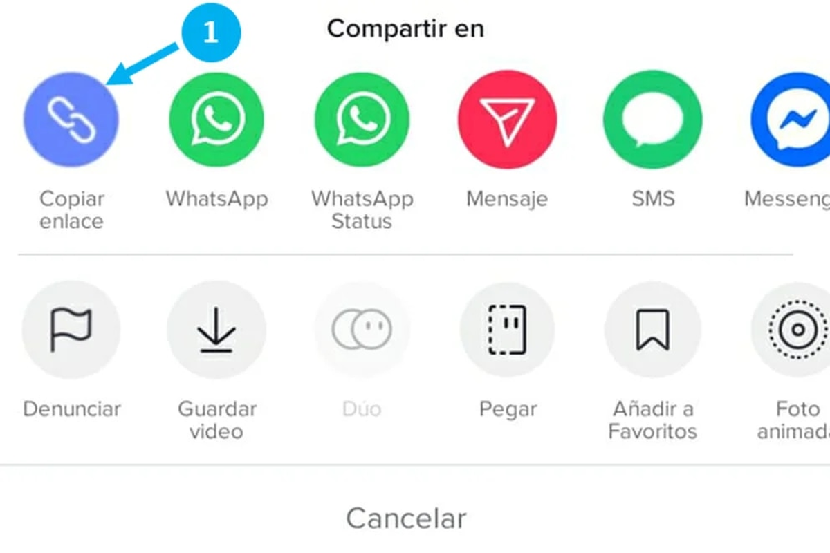 Botón para copiar enlace de TikTok.