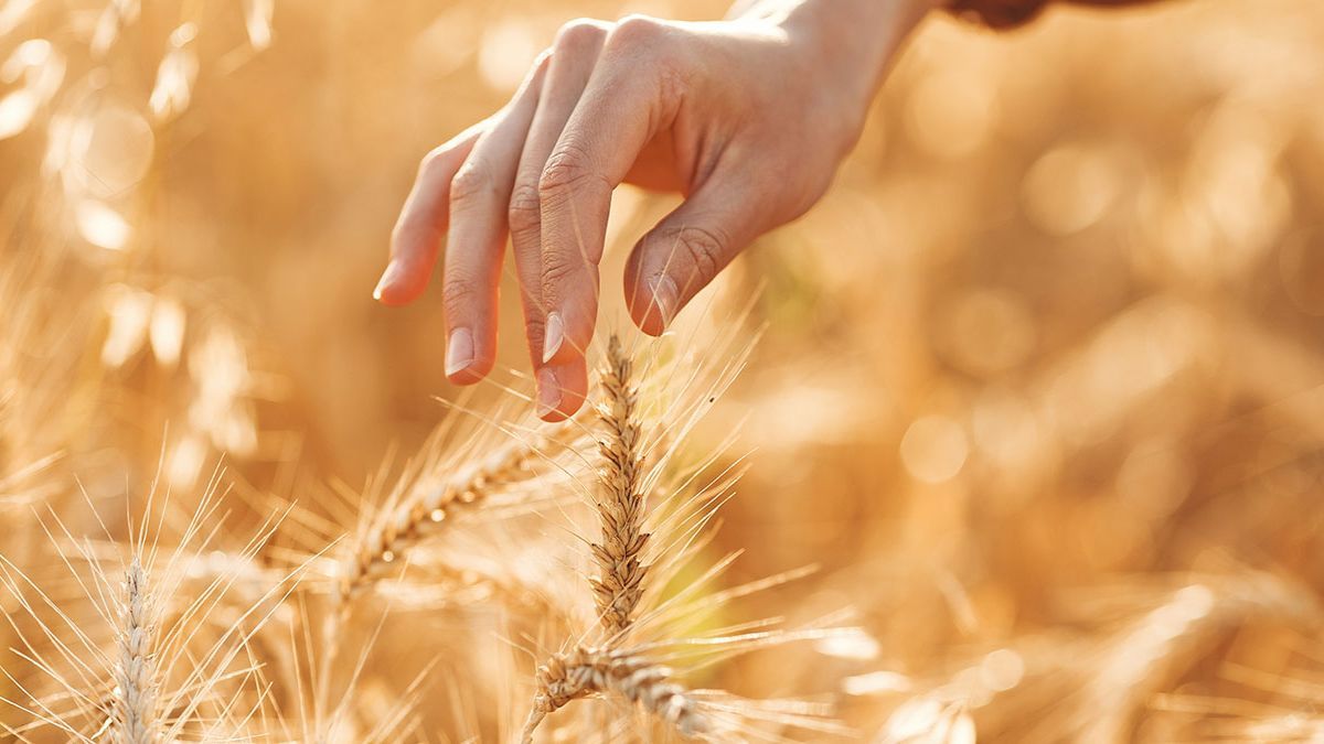 Es crucial seguir las recomendaciones específicas de uso proporcionadas por los fabricantes para garantizar una aplicación eficaz y evitar pérdidas de eficiencia.