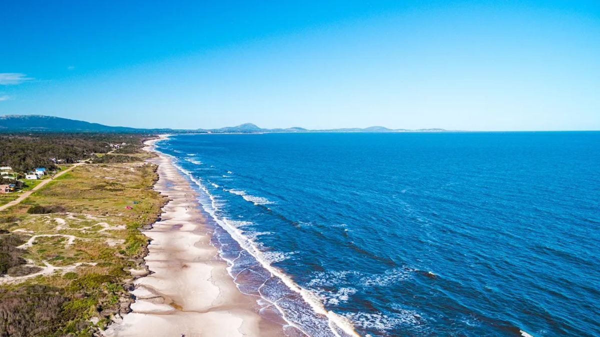 La forestación de Santa Ana comenzó hace 80 años como un proyecto familiar que reemplazó las dunas móviles por un bosque de especies exóticas y nativas que hoy define su identidad.