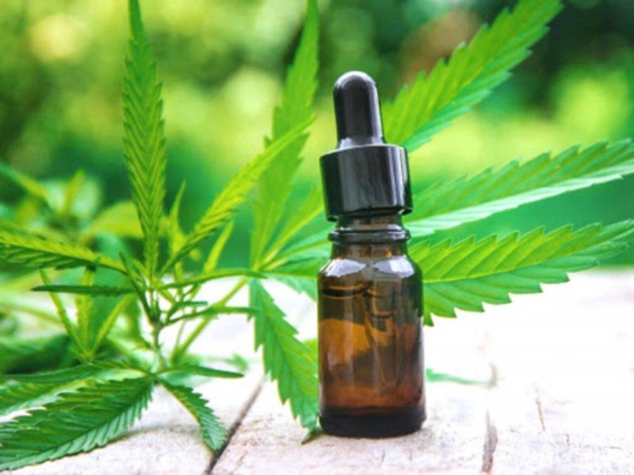 La ANMAT permitirá la importación de productos derivados del cannabis para uso medicinal