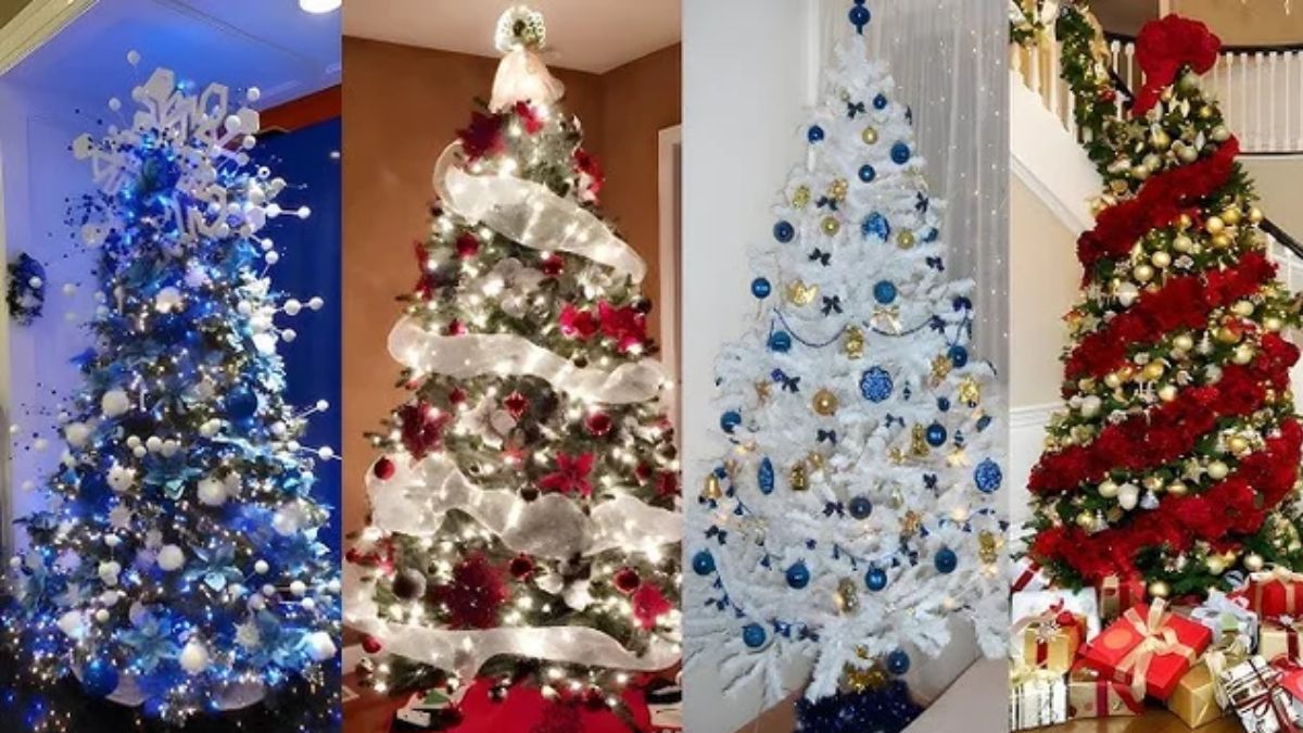 El árbol de Navidad es una tradición que se sigue en todo el mundo. El árbol de Navidad es una tradición que se sigue en todo el mundo.