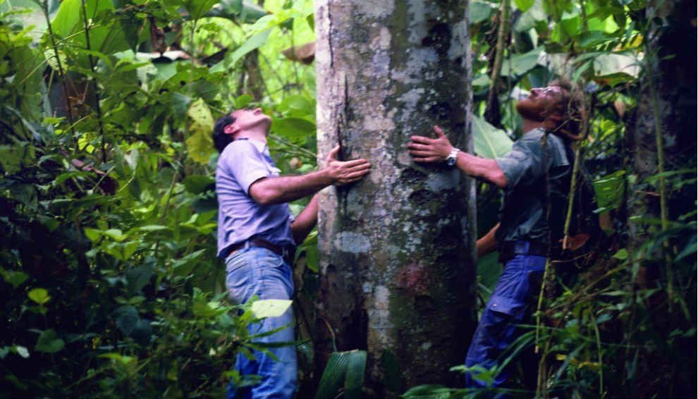 Tres miembros de la expedición viajaron en septiembre de 1983 a Guayaquil, Ecuador, en busca de los árboles de balsa “tipo hembra” y libres de corazón de agua (que facilitarían la flotación), iguales a los que hace 35 siglos crecían en la selva africana, y con los que construyeron la balsa. En total, trajeron al país –vía marítima– 20 troncos de 18 metros de largo cada uno, y 6000 metros de cuerda vegetal.