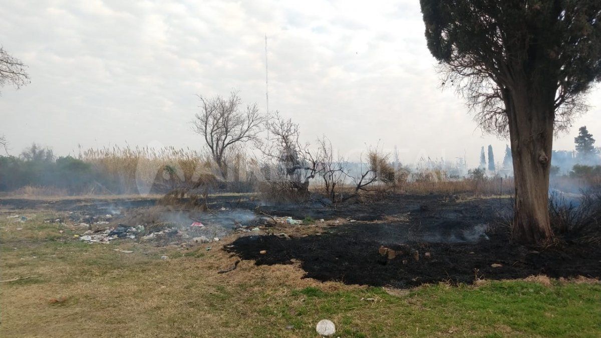Un campo se incendió en Santo Tomé.&nbsp;