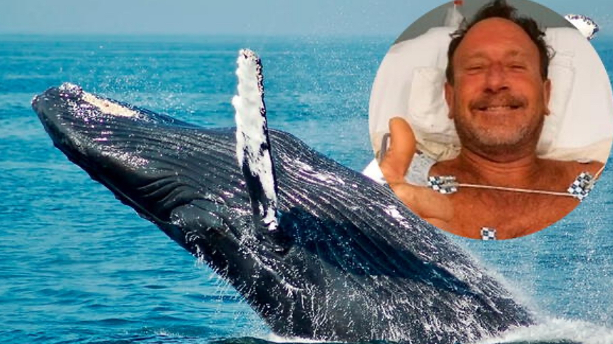 La increíble historia del hombre que quedó atrapado en la boca de una ballena