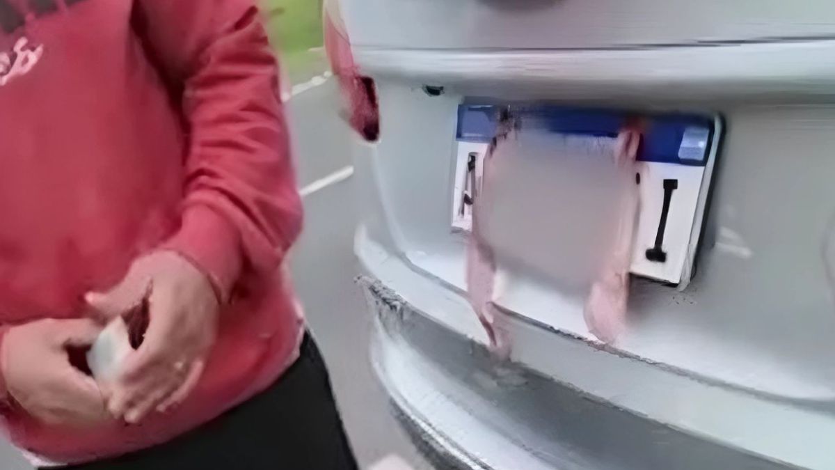 Como consecuencia de este “combo” de infracciones