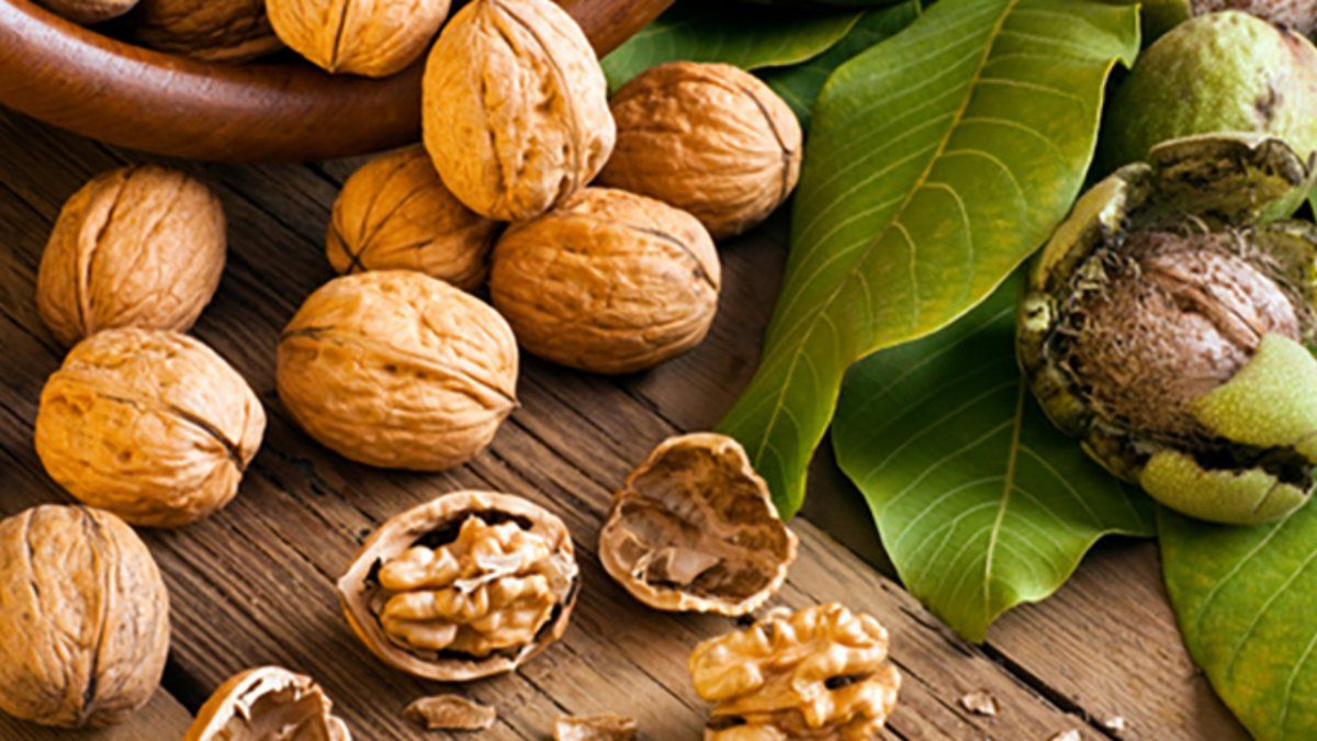 Cómo actúan las nueces para reducir a los triglicéridos