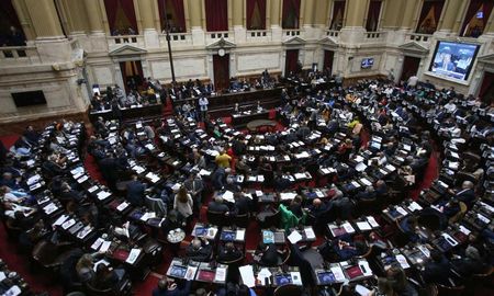 El proyecto tuvo media sanción de Diputados con 230 votos y ahora deberá ser tratado por el Senado para convertirse en ley. El proyecto tuvo media sanción de Diputados con 230 votos y ahora deberá ser tratado por el Senado para convertirse en ley.