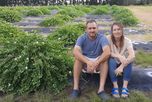 Alcaparras: el nicho gourmet que encontraron en Córdoba para agregar valor en el campo Alcaparras: el nicho gourmet que encontraron en Córdoba para agregar valor en el campo