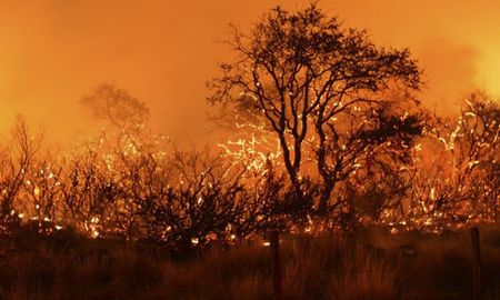 El proyecto reforma la ley 26.815 del Manejo del Fuego por lo que se se prohíbe realizar modificaciones en el uso de las superficies que tenían previo a los incendios provocados o accidentales. El proyecto reforma la ley 26.815 del Manejo del Fuego por lo que se se prohíbe realizar modificaciones en el uso de las superficies que tenían previo a los incendios provocados o accidentales.