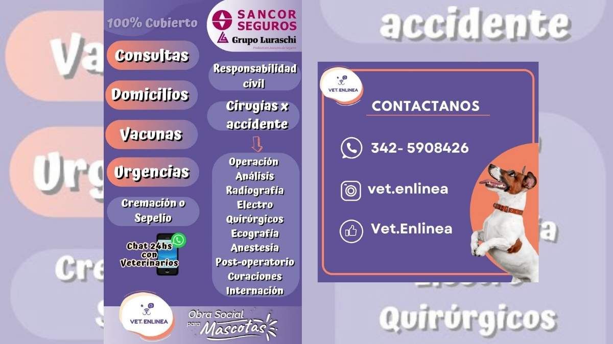 Las formas de contacto que ofrece Vet en Línea. Las formas de contacto que ofrece Vet en Línea.