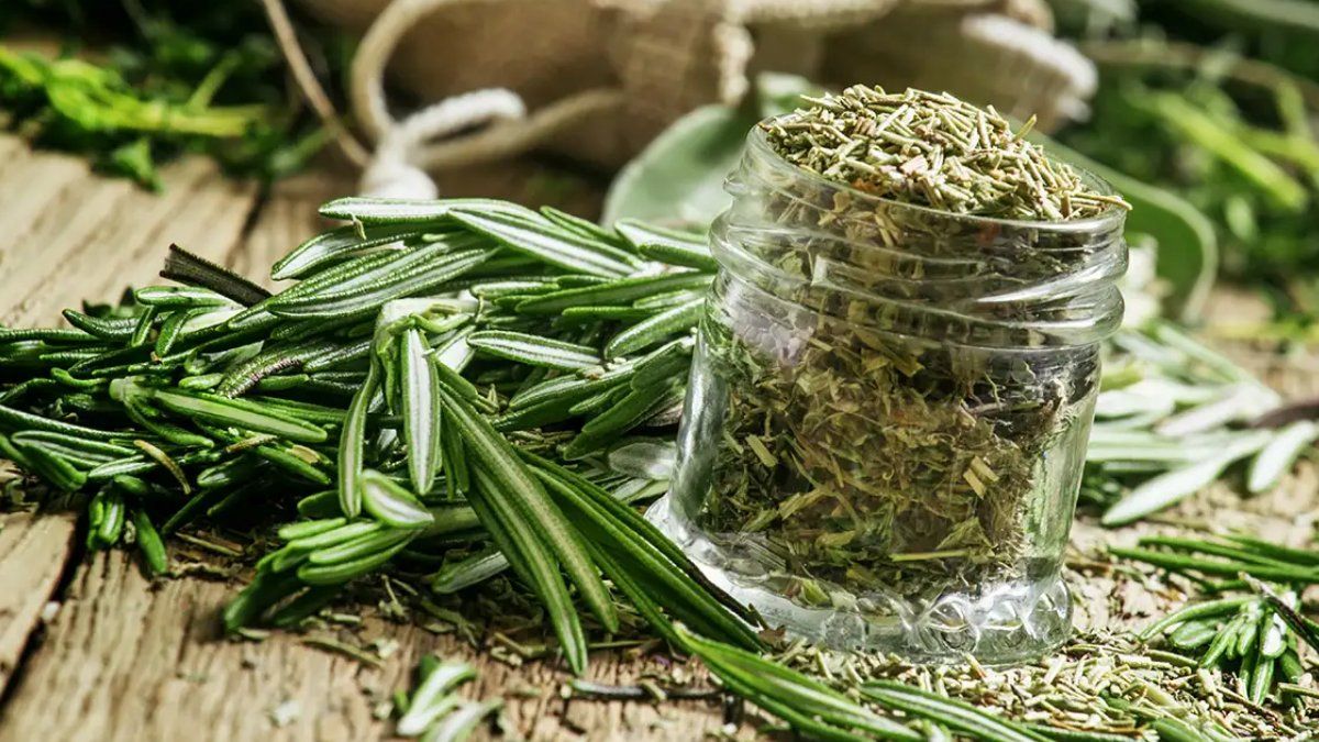 El Domingo de Ramos es una fecha muy especial para la religión