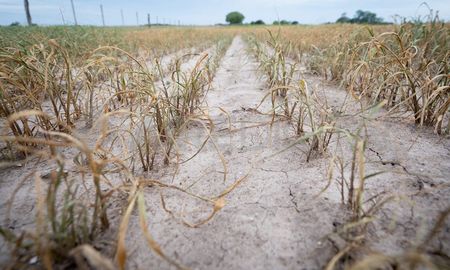 El informe del IPEC señala que la dispar evolución de la actividad económica observada a nivel nacional respecto de lo acontecido en la provincia de Santa Fe se fundamenta en el mayor impacto relativo de la sequía. El informe del IPEC señala que la dispar evolución de la actividad económica observada a nivel nacional respecto de lo acontecido en la provincia de Santa Fe se fundamenta en el mayor impacto relativo de la sequía.